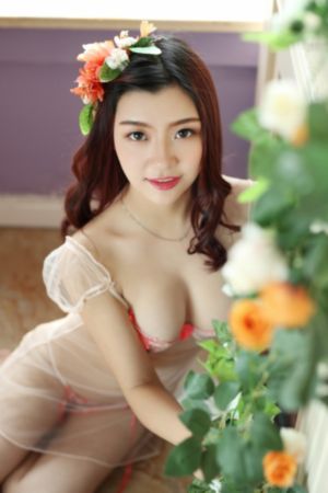 你是我的眼电视剧