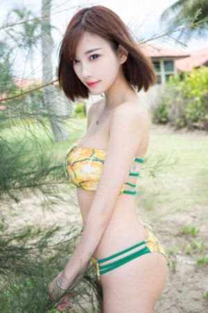 流光引在线观看电视剧全集