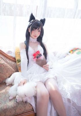 姐妹病毒在线播放
